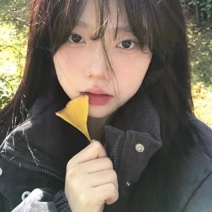观鸟者指导大全
