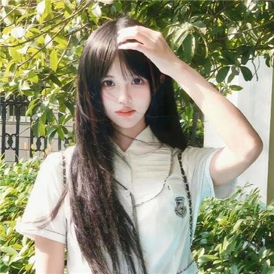 与森林共舞